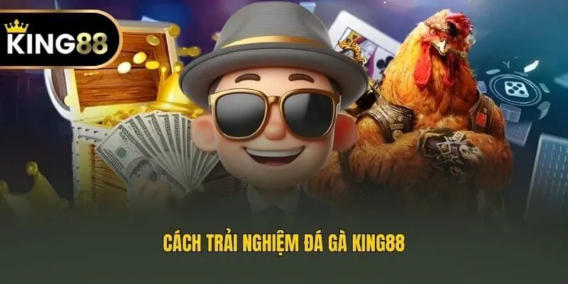 Cách trải nghiệm đá gà King88