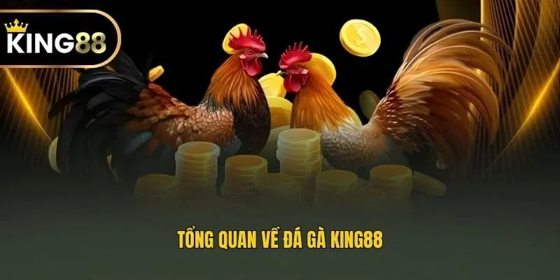 Tổng quan về đá gà King88